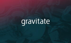 Portfolio preview