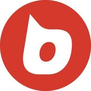 Portfolio preview